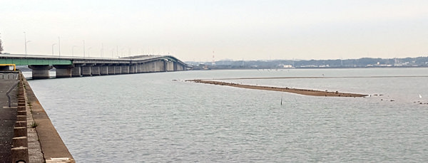 三河湾の干潟