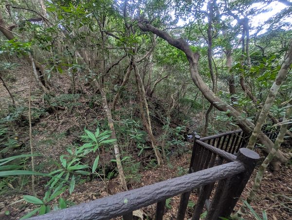 渡嘉敷島の集団自決跡