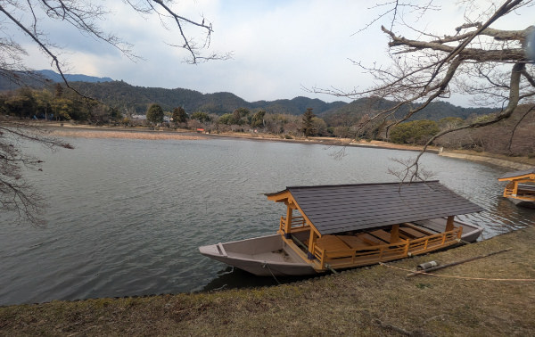 京都最古の庭園・大覚寺の大沢池