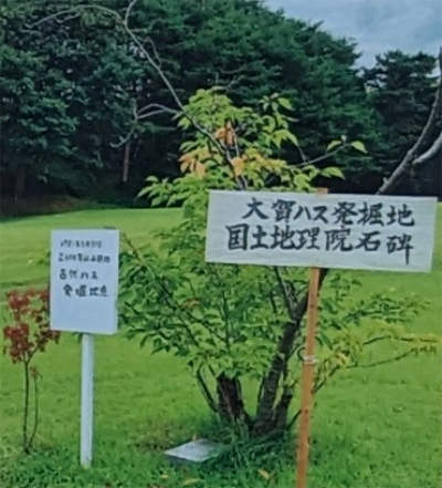 ハスの実の発掘地（検見川の案内看板より）