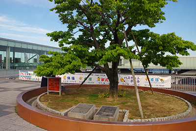 日立駅前の円形ベンチ