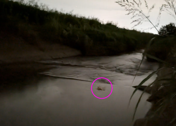 神事のあと、川に流された一つ目のわら人形