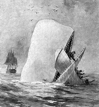 白鯨