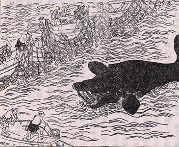 網取り式捕鯨