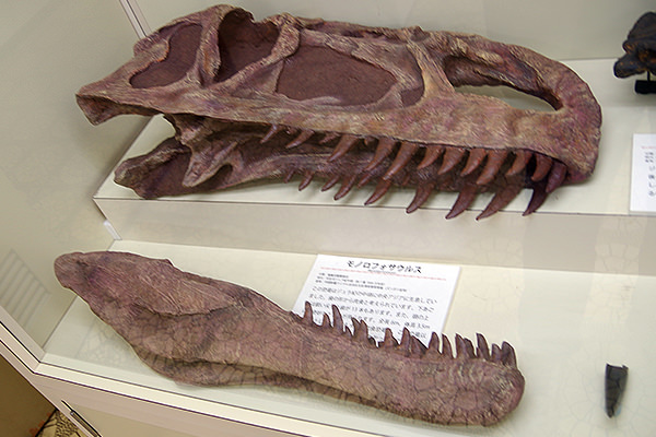 モノロフォサウルス