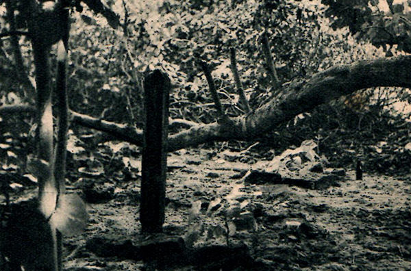 新南群島日本人の墓